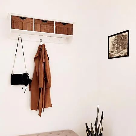 Oasi Urbana: Confort E Stile
