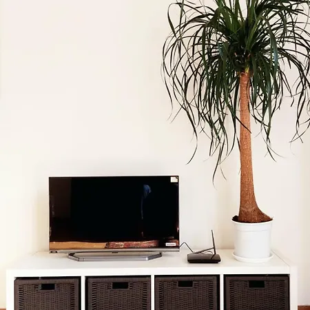 Oasi Urbana: Confort E Stile דירה *